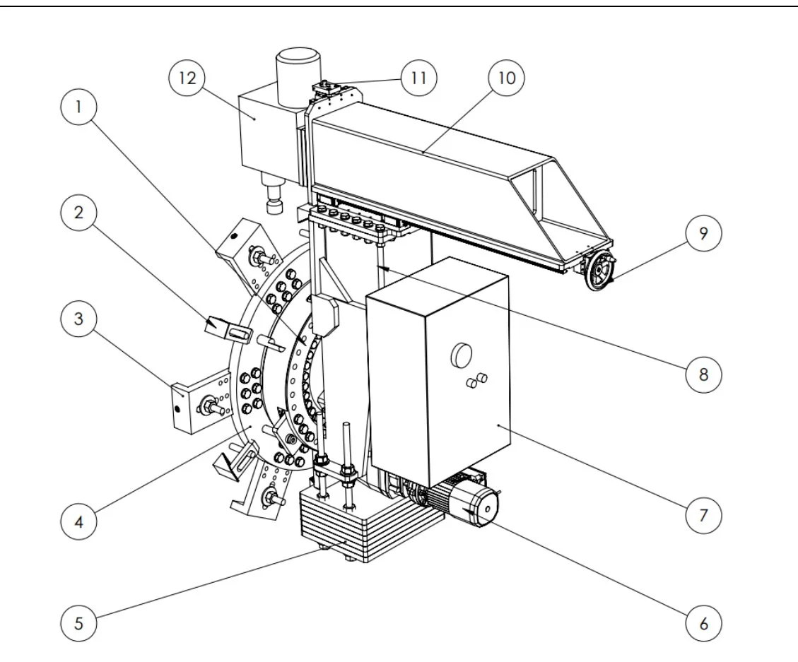 RMM — ANATOMÍA